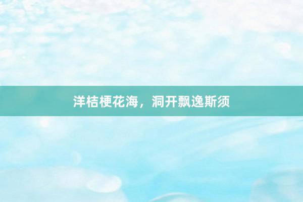 洋桔梗花海,洞开飘逸斯须