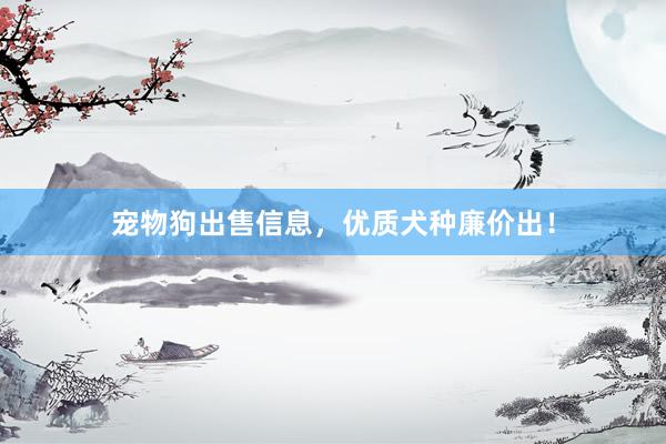 宠物狗出售信息，优质犬种廉价出！