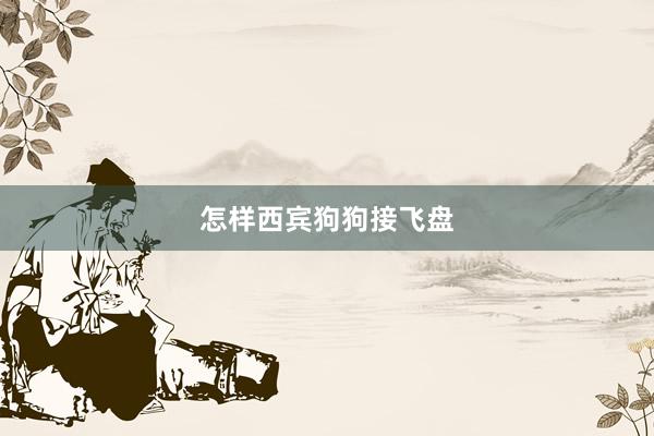 怎样西宾狗狗接飞盘